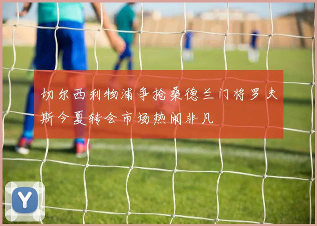 切尔西利物浦争抢桑德兰门将罗夫斯今夏转会市场热闹非凡